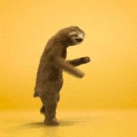 dancing sloth gif|animated sloth at desk gif.